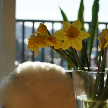 Schoene Hoehe 600 Ausblick *